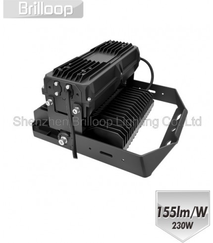 M18: 230W Modular Floodlight